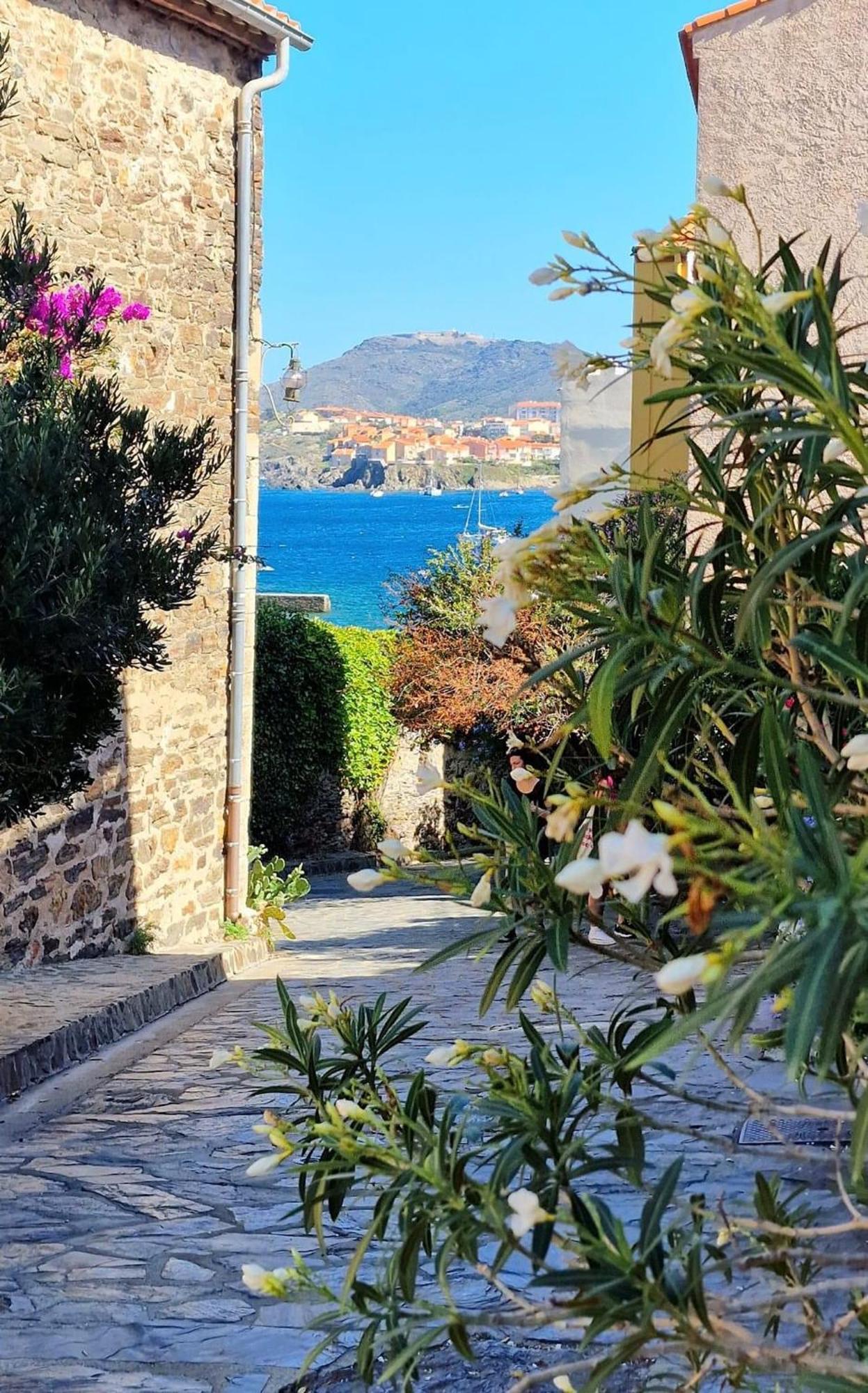 Residence Les Roches Bleues 4Rb44 Collioure Extérieur photo